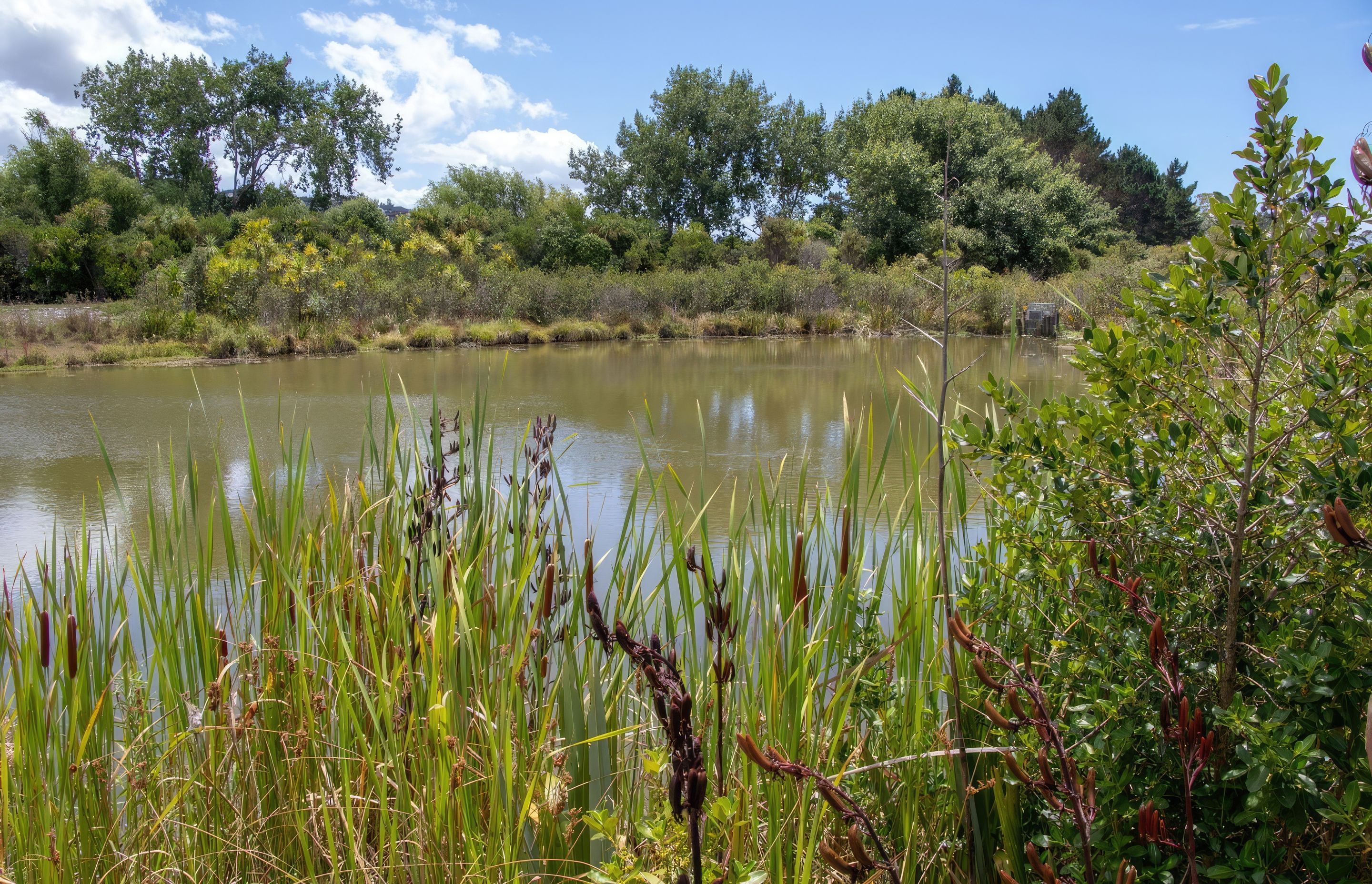 millwater-IMG3809-gigapixel-standard-scale-200x.jpg