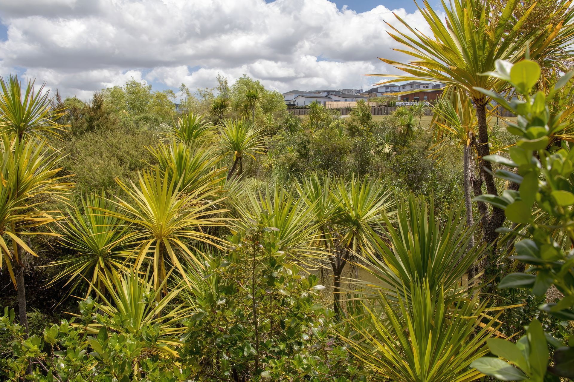 millwater-IMG3816-gigapixel-standard-scale-200x.jpg