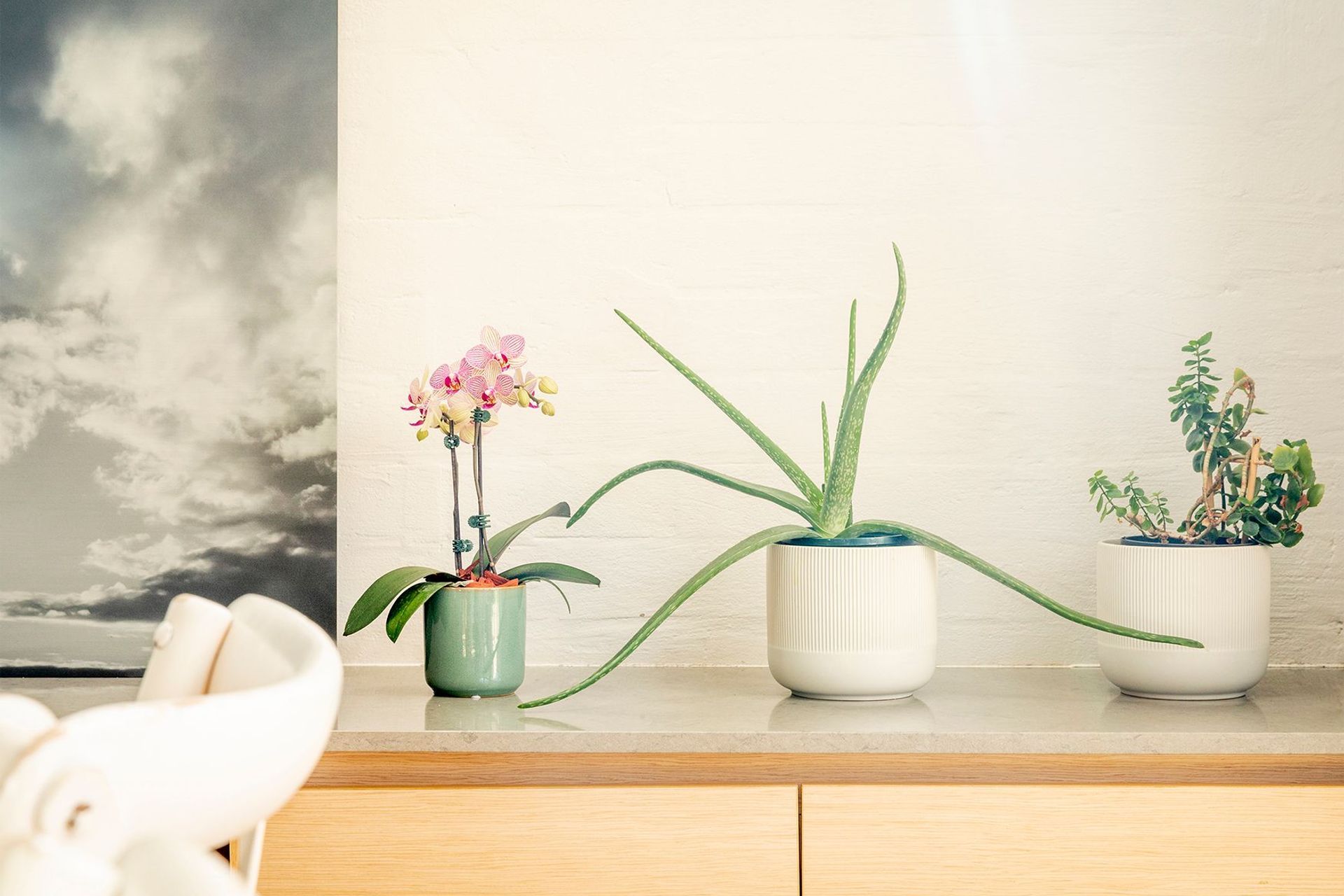 Photography: Mel Koutchavlis