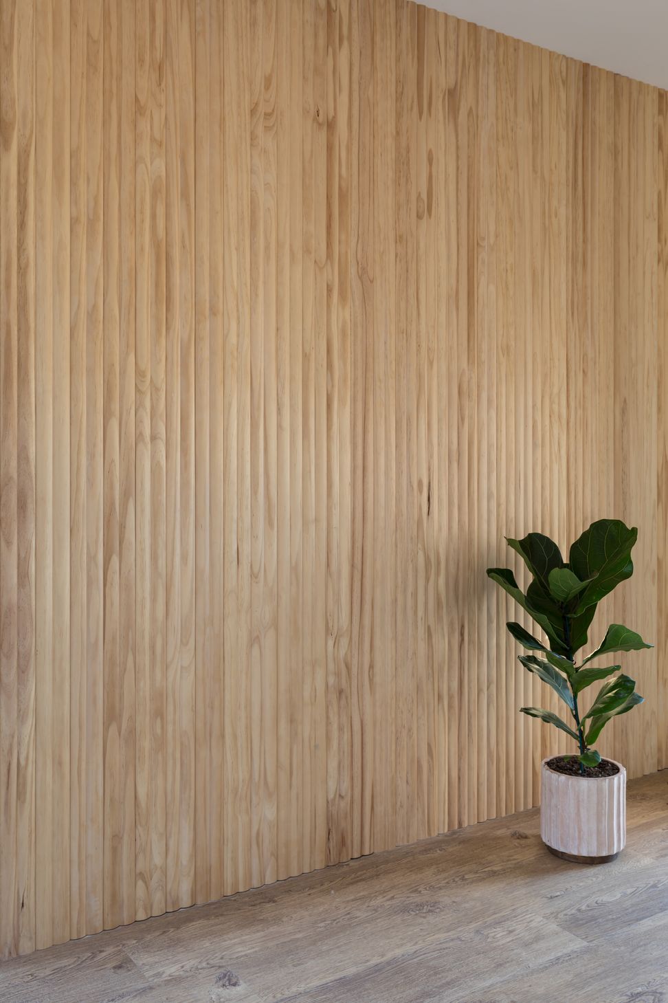 Minimalistic Muse, Auckland