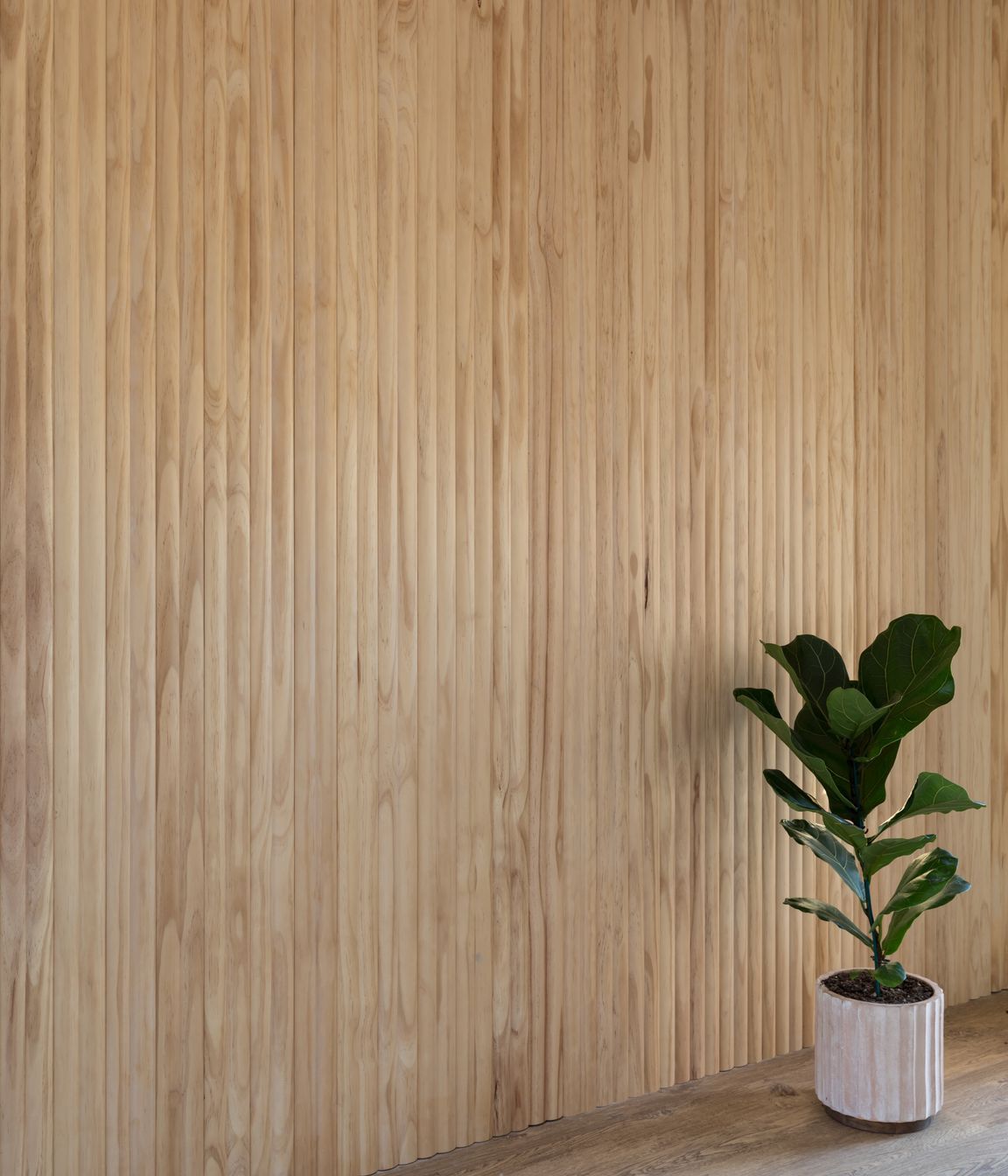 Minimalistic Muse, Auckland