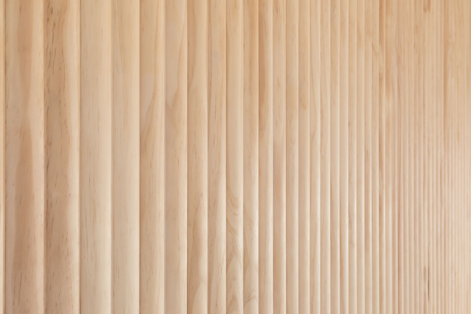 Minimalistic Muse, Auckland