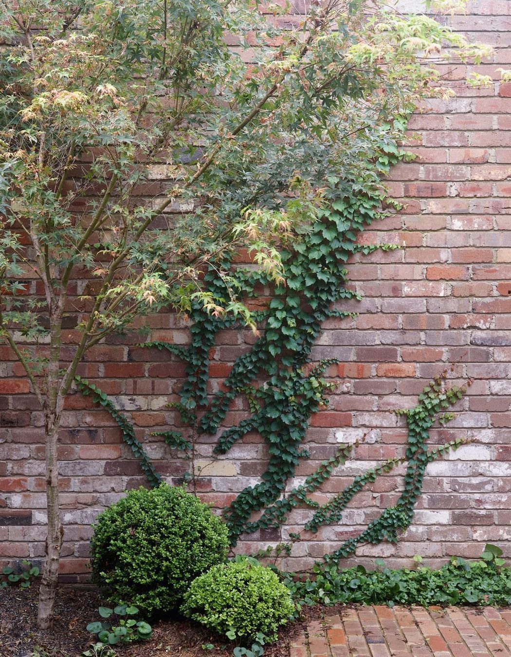 Garden House