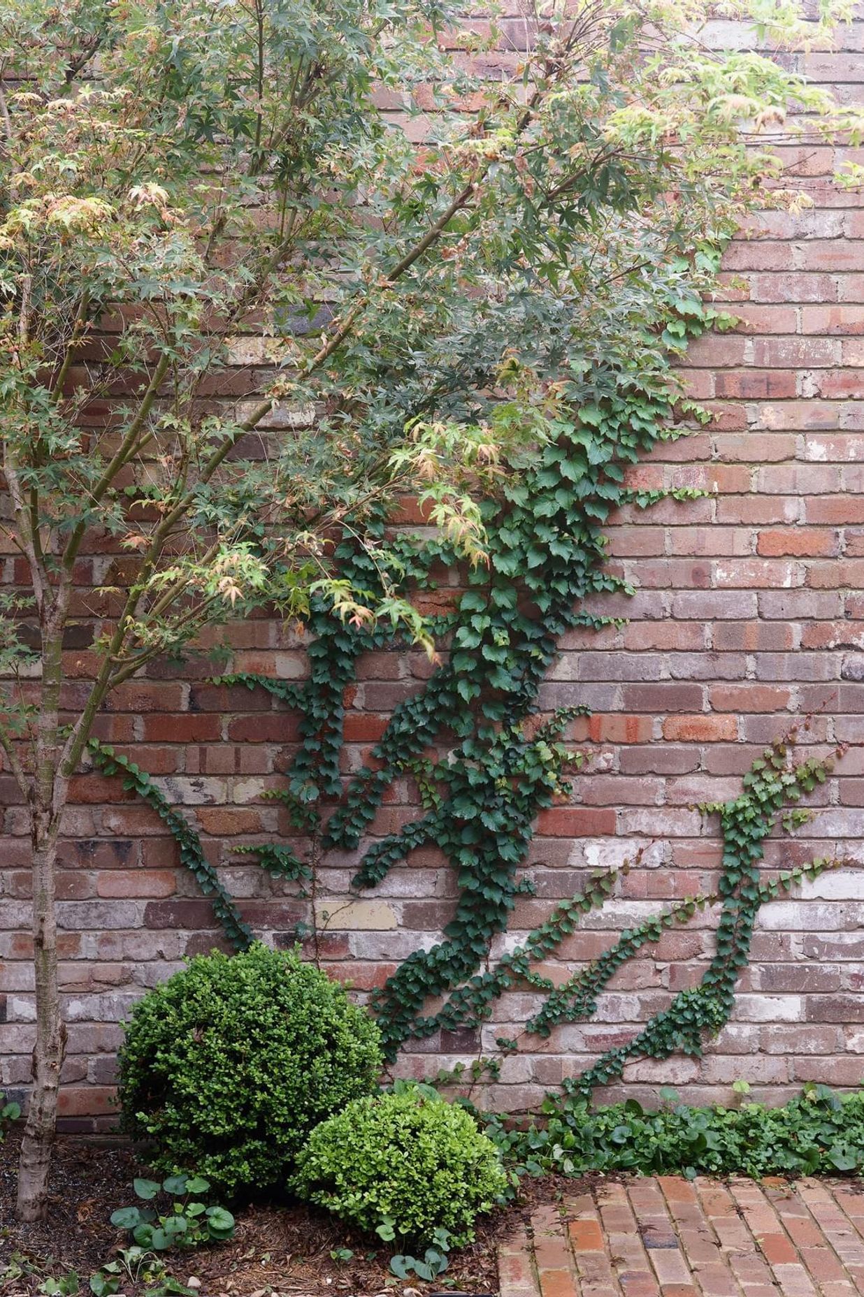 Garden House