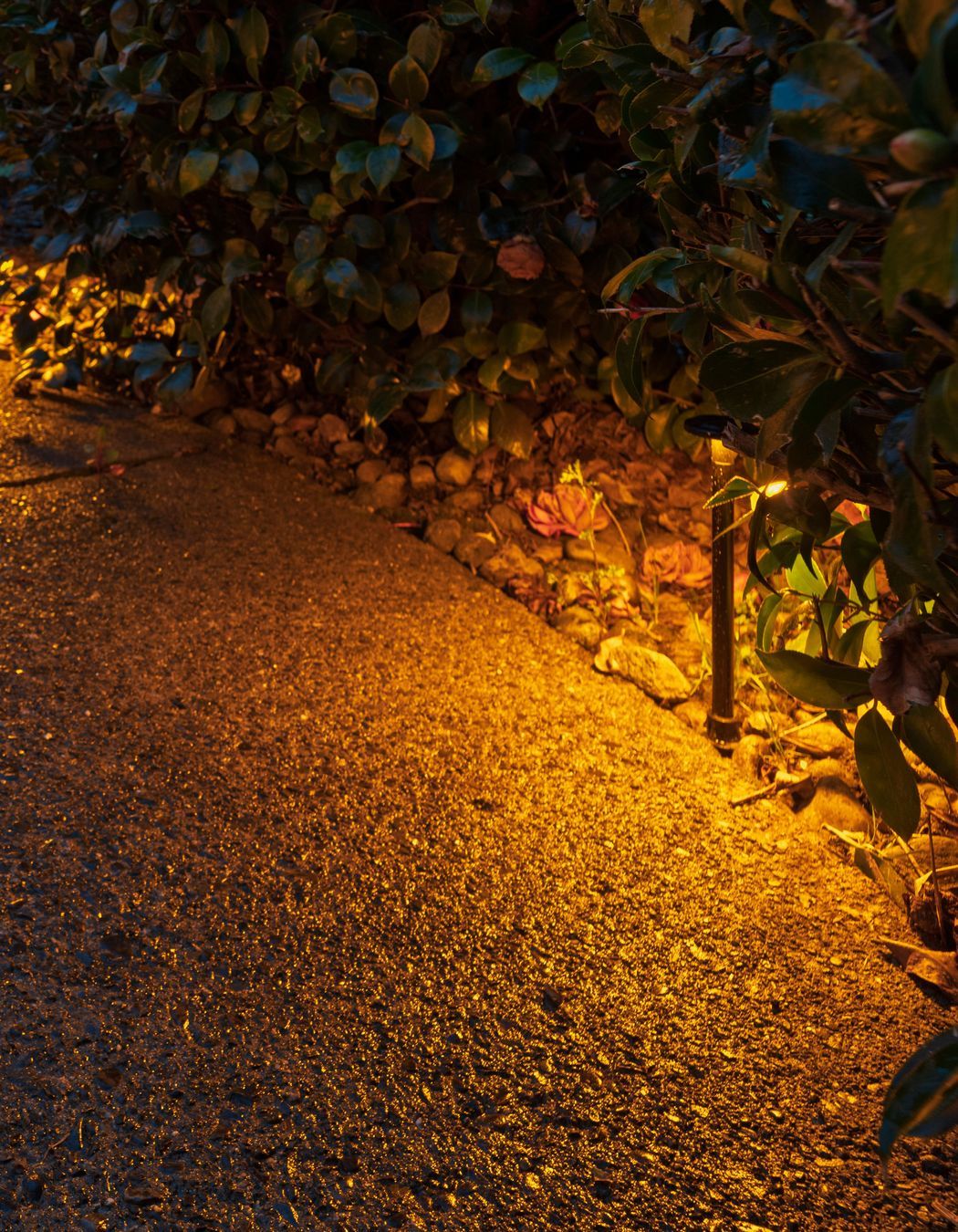 Path Light 1