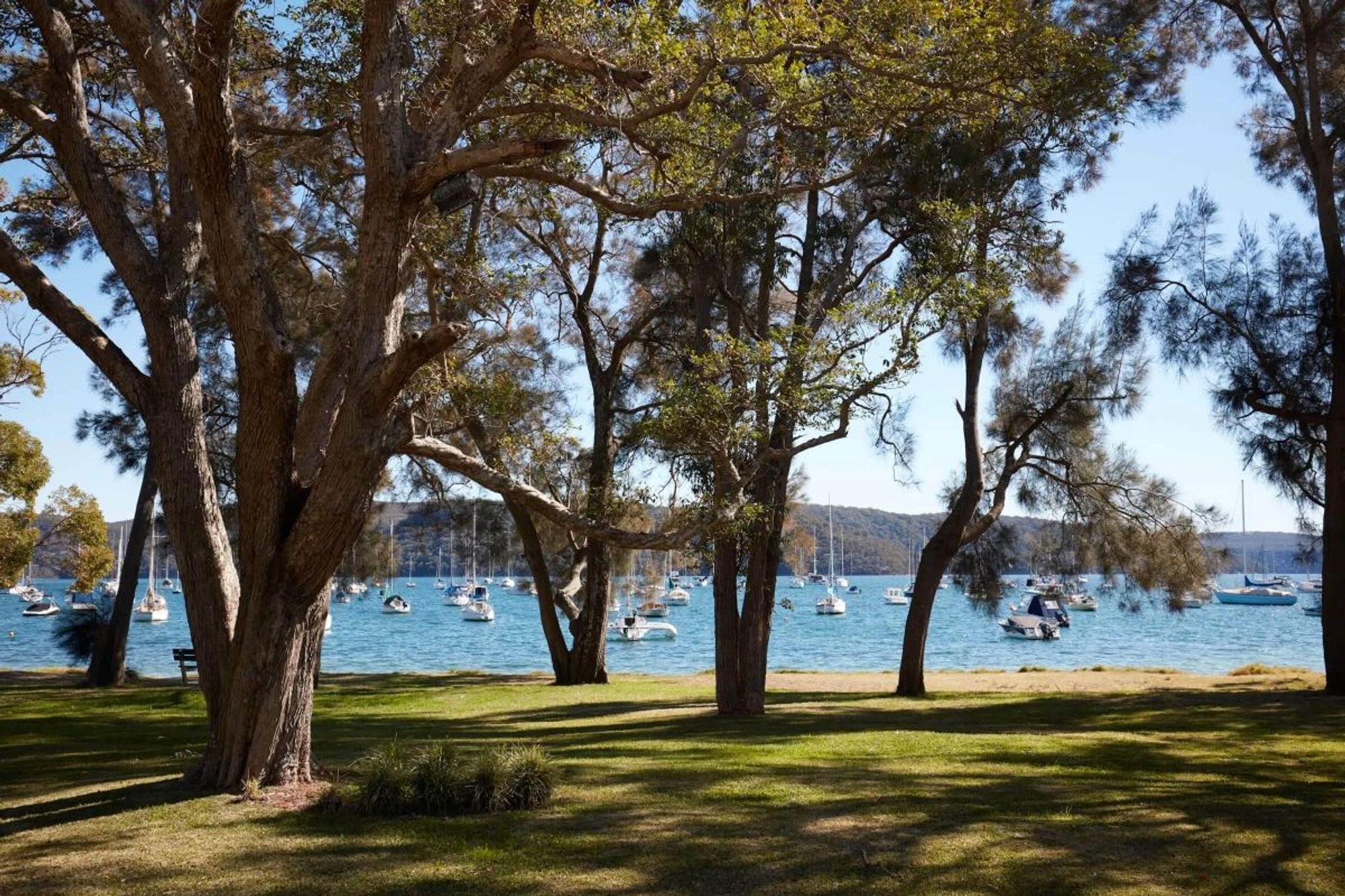 Clareville