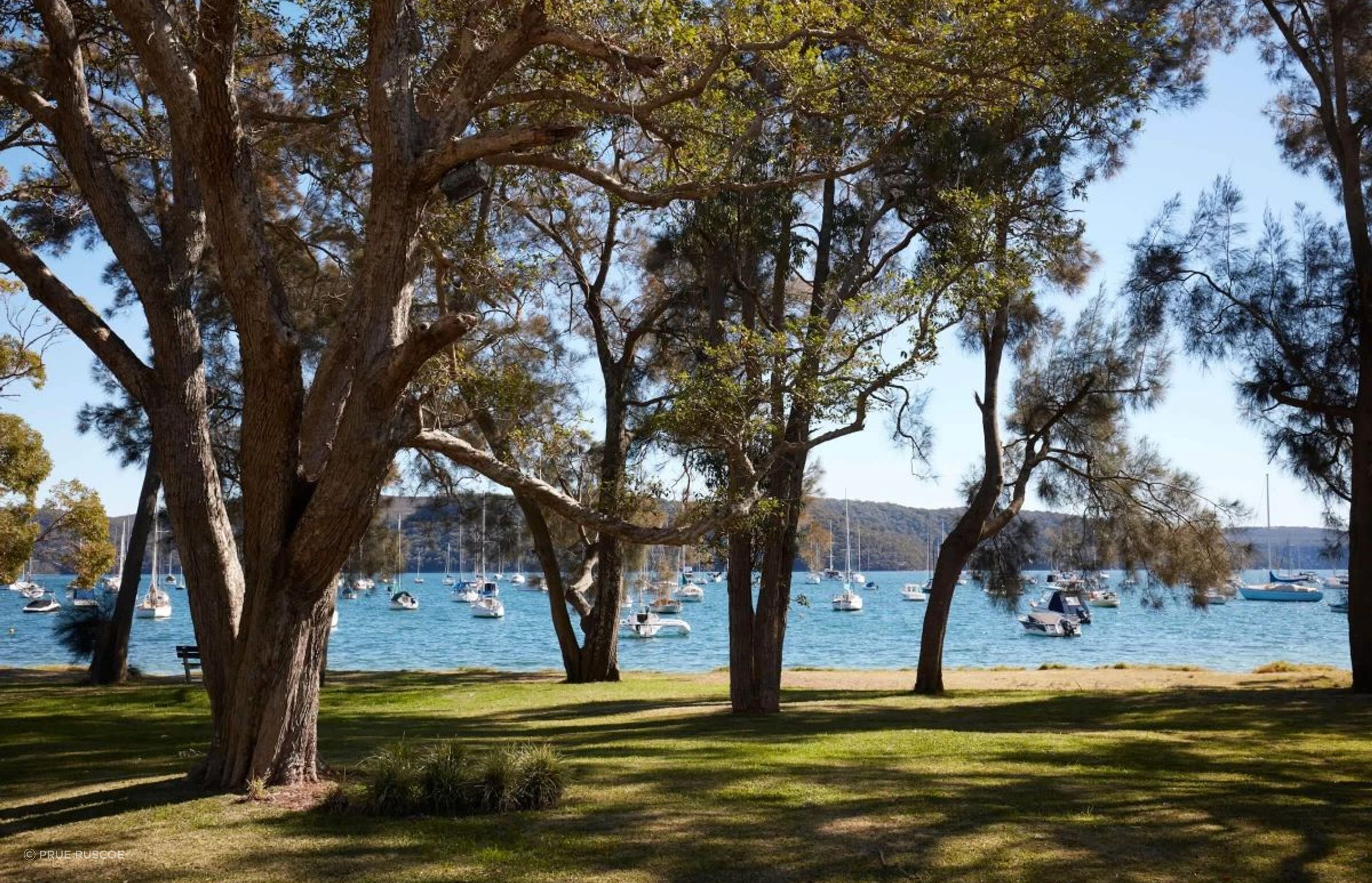 Clareville