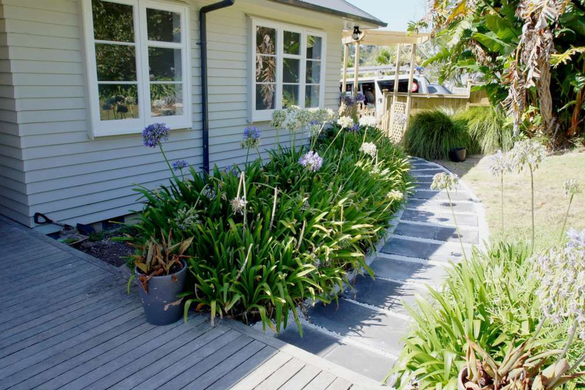 Newly landscaped and concrete pathway