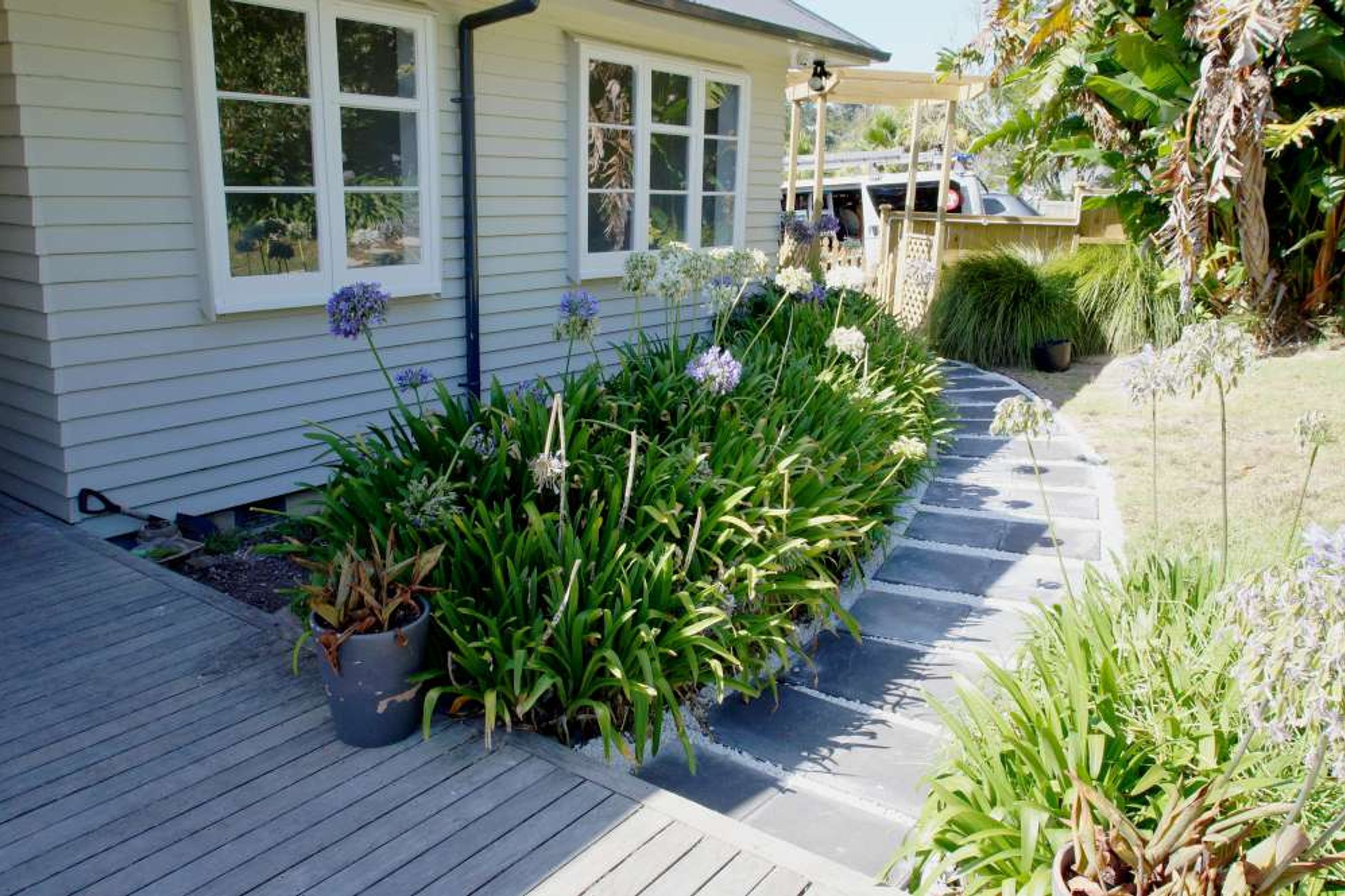 Newly landscaped and concrete pathway