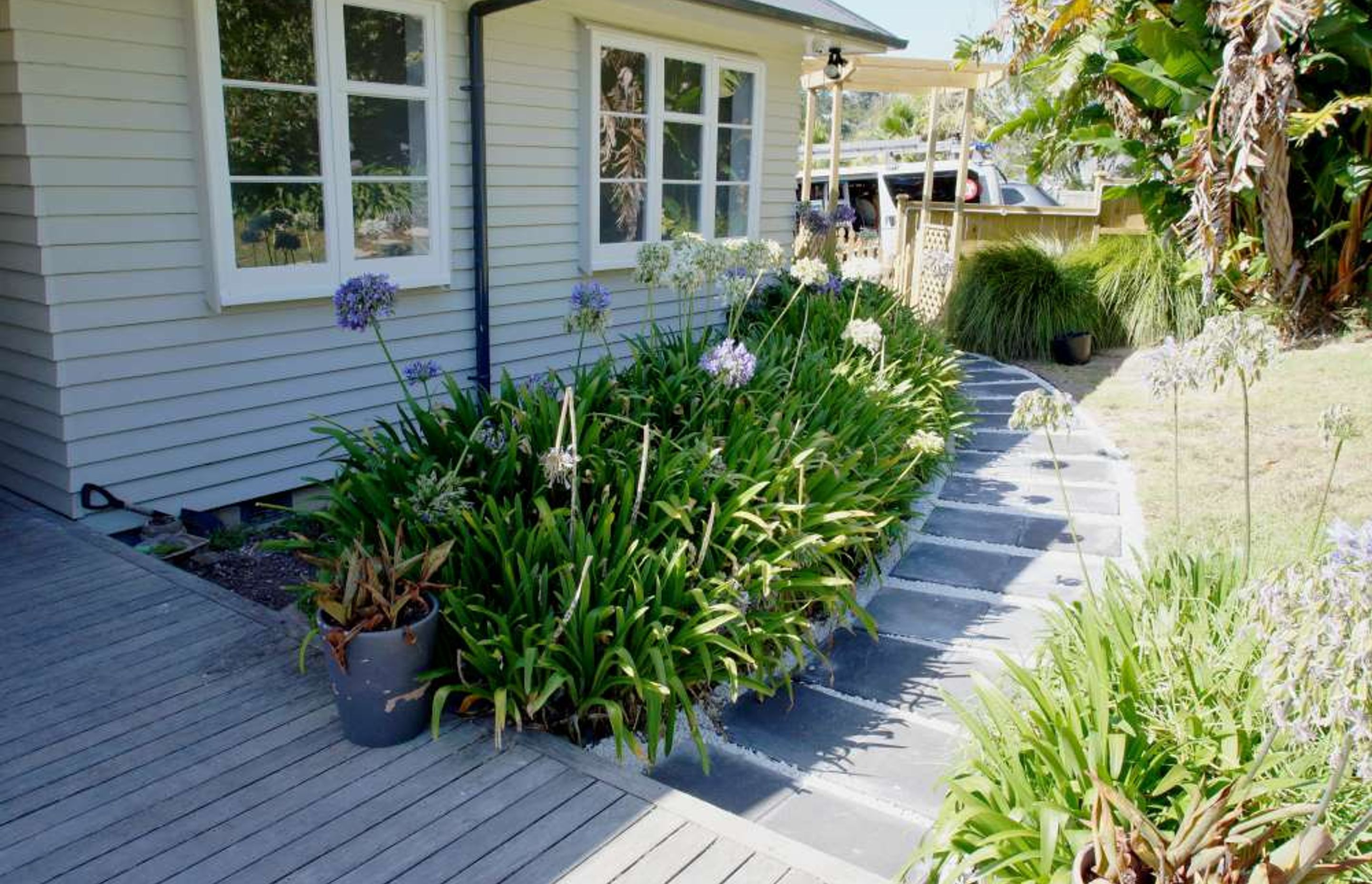 Newly landscaped and concrete pathway