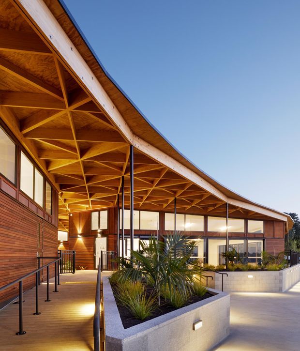 Exterior view of a contemporary low-rise building with a sweeping curved timber roof canopy, exposed engineered timber trusses, warm timber cladding, extensive glazing, slim dark metal supports, and accessible ramped walkways. Landscaped planter beds and low rendered masonry walls define the entry approach.