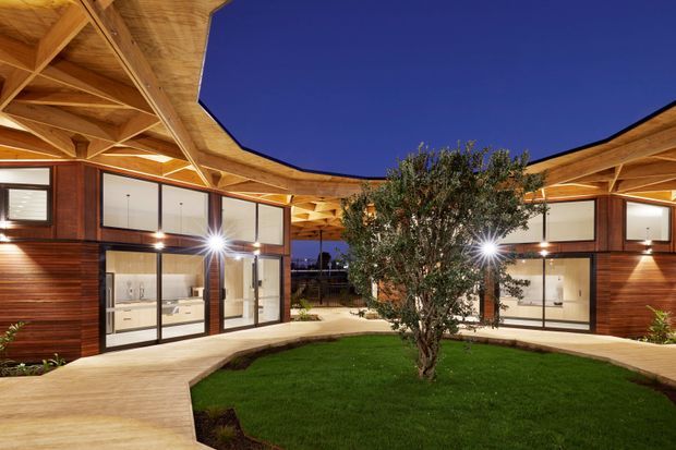 A contemporary single-storey courtyard-style building photographed at dusk, with warm timber-clad wings arranged around a landscaped central lawn and olive tree. Broad floor-to-ceiling glazing, exposed timber roof structures, and light paved walkways create a sheltered, open-air communal space beneath a deep blue sky.