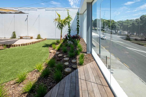 A bright landscaped outdoor area beside a modern building, viewed along a narrow timber deck with full-height glass glazing. The garden includes a manicured lawn, native-style planting, gravel mulch, and a stepping-stone path, with a street visible beyond the reflective glazing.