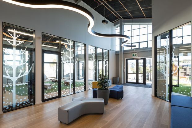 Bright contemporary commercial lobby or entry space with expansive black-framed glazing, light timber flooring, a sculptural curving linear ceiling light, and modern modular seating. Decorative white tree motifs and dot patterns appear on the glass partitions, with a visible outdoor courtyard beyond.