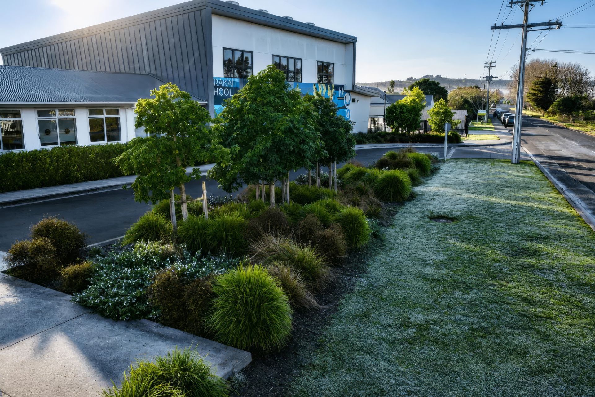 parakai-planting-close-upscaled-by-Replicate.jpg