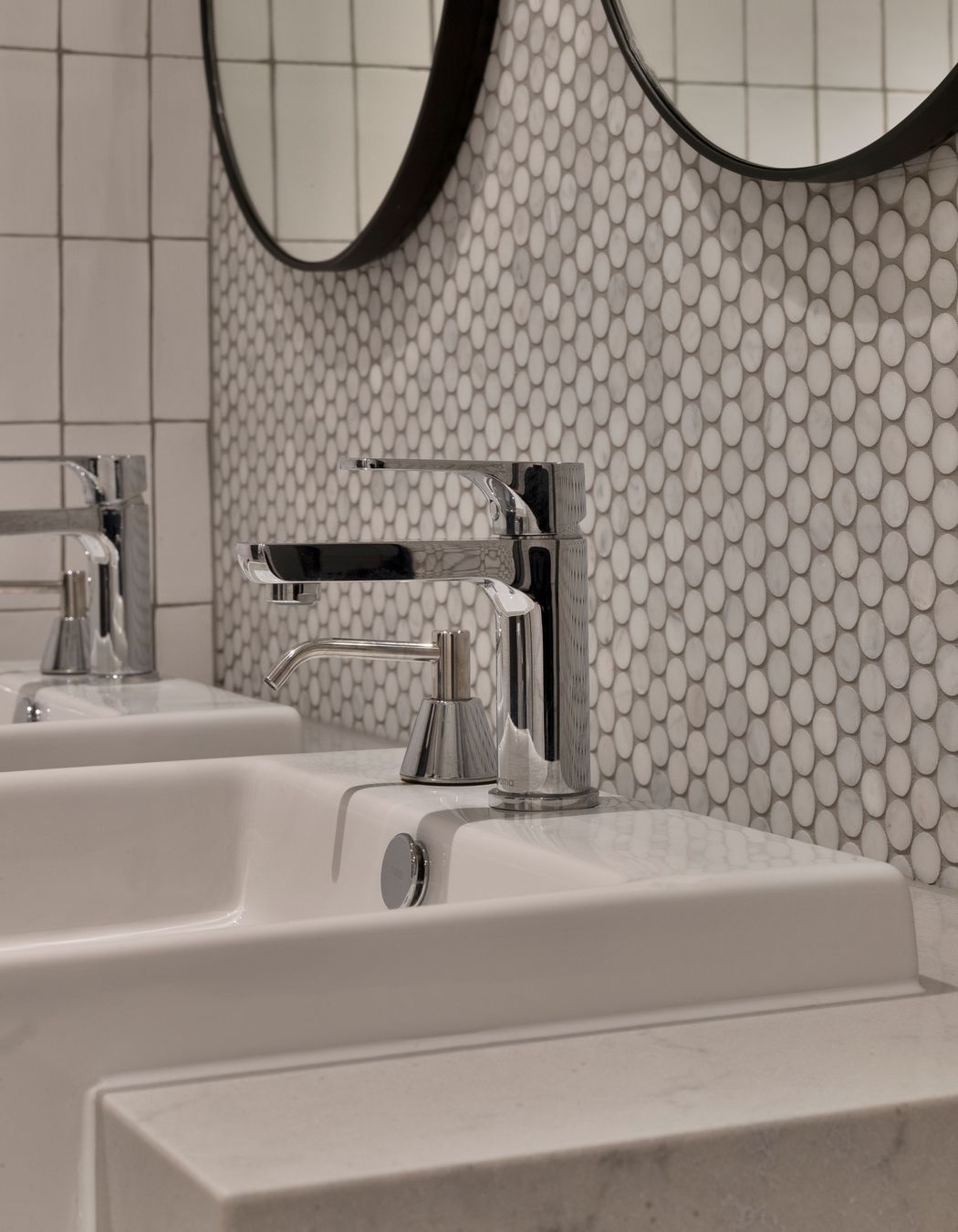 Sealy NSW Bedding Plant