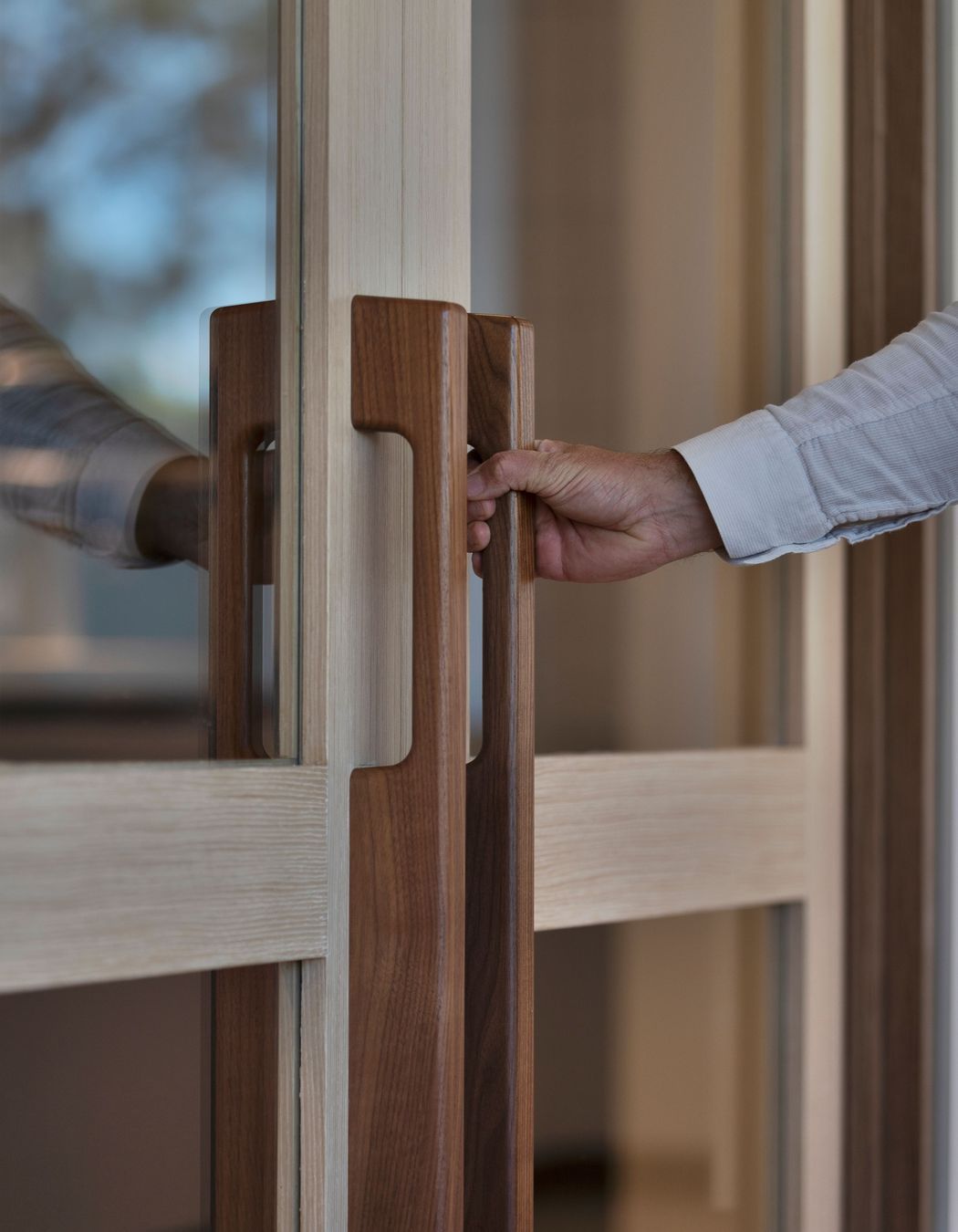 Sealy NSW Bedding Plant