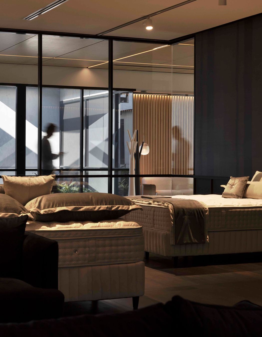 Sealy NSW Bedding Plant