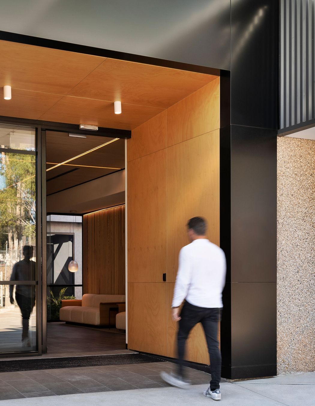 Sealy NSW Bedding Plant