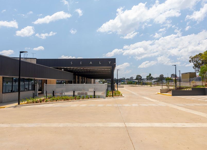 Sealy NSW Bedding Plant