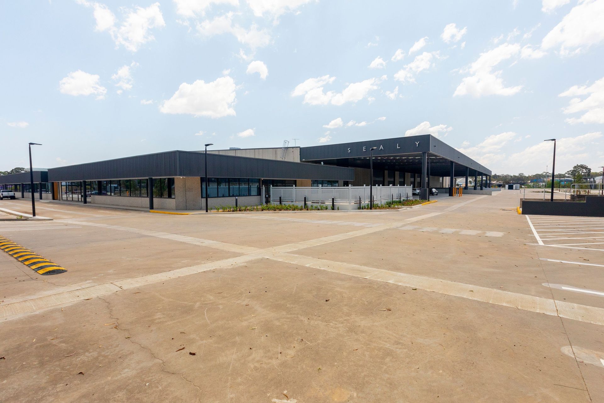 Sealy NSW Bedding Plant