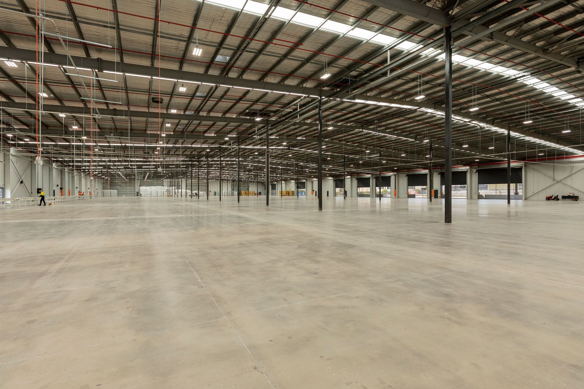 Sealy NSW Bedding Plant