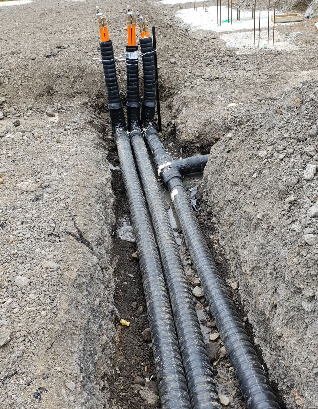 Service Foods Freezer - Mangere