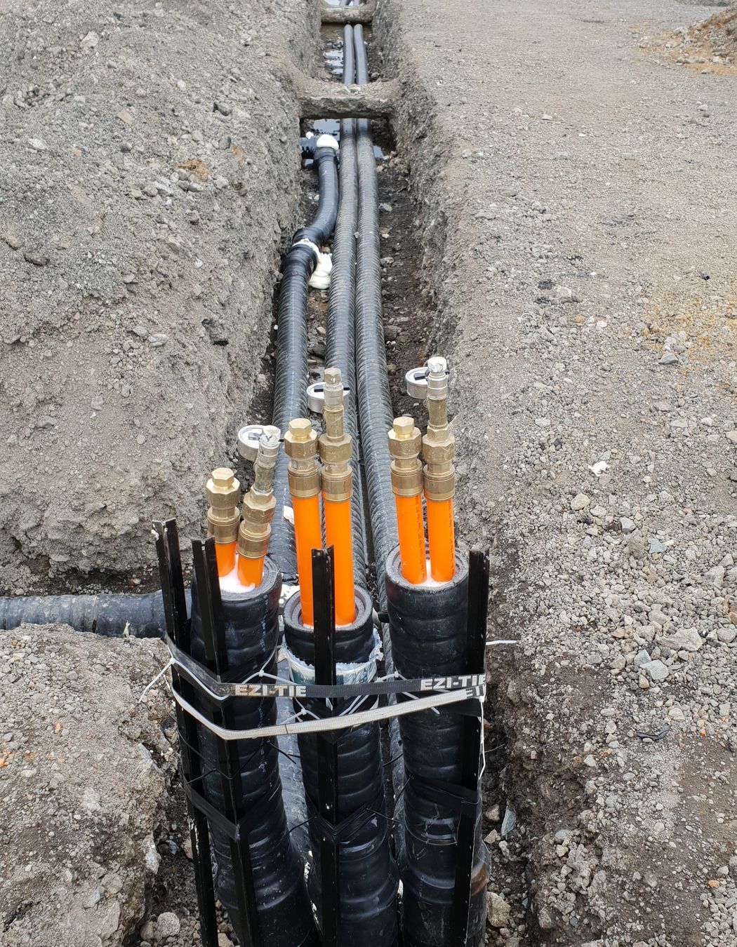 Service Foods Freezer - Mangere