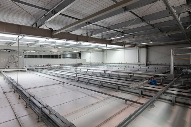 A large industrial interior with extensive parallel metal piping, rails, and equipment arranged across a broad white-floored processing or cultivation facility. The space has a high exposed structural ceiling with steel beams, suspended services, bright linear lighting, and utilitarian finishes.