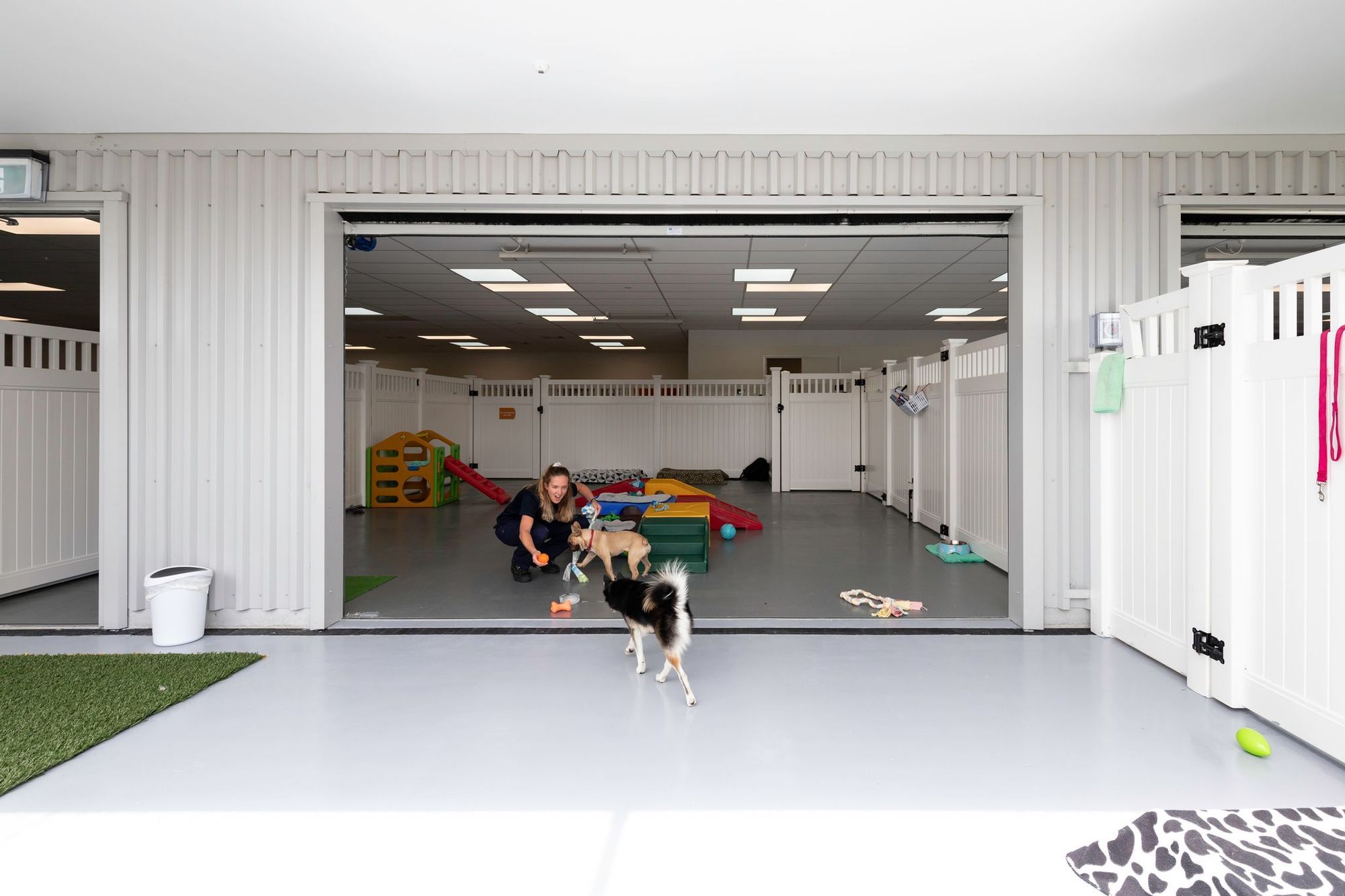 SPCA Hobsonville