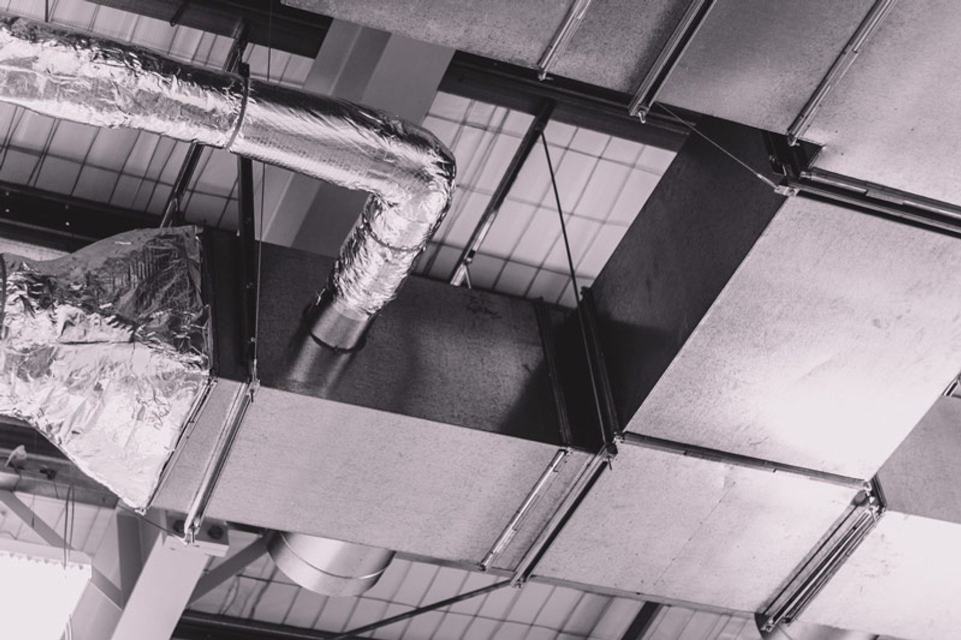 Elastomer Products Limited - Christchurch