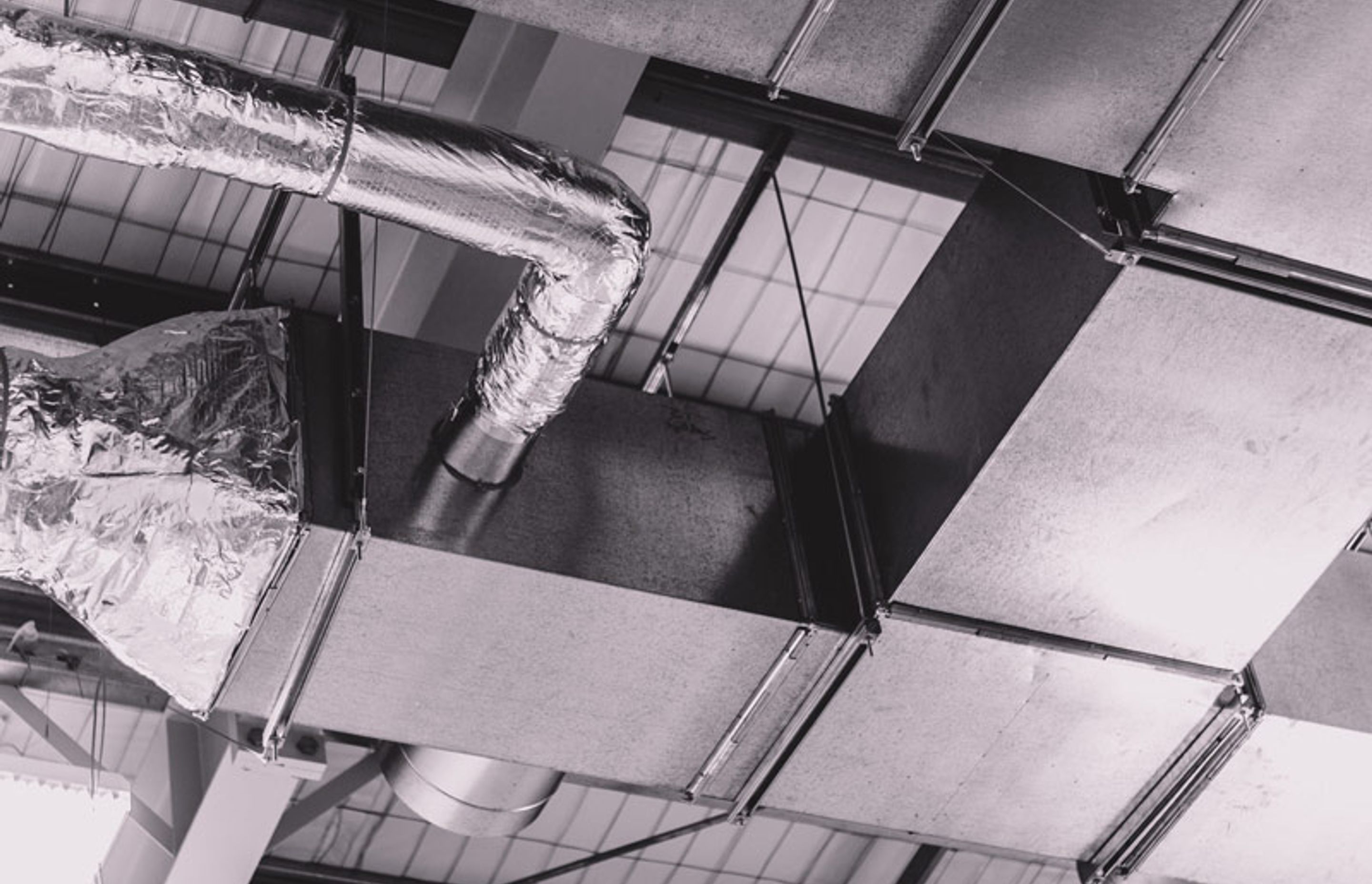 Elastomer Products Limited - Christchurch