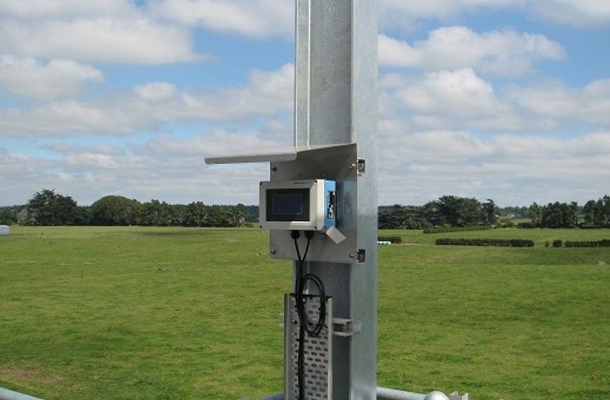 Eltham Water
