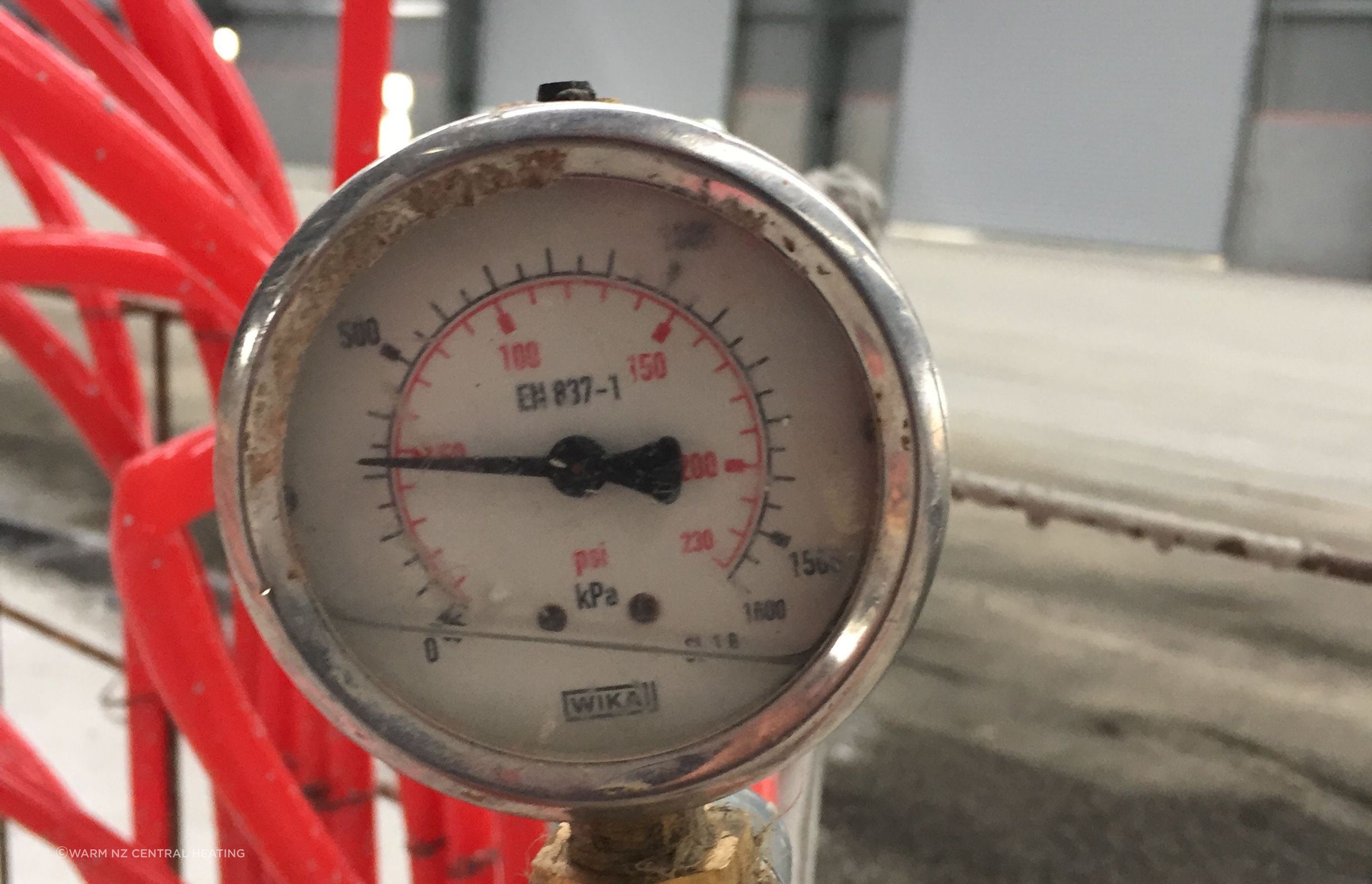 Kuehne + Nagel Freezer - Verissimo Drive