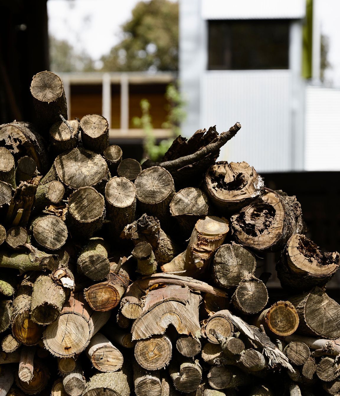Leongatha Shed