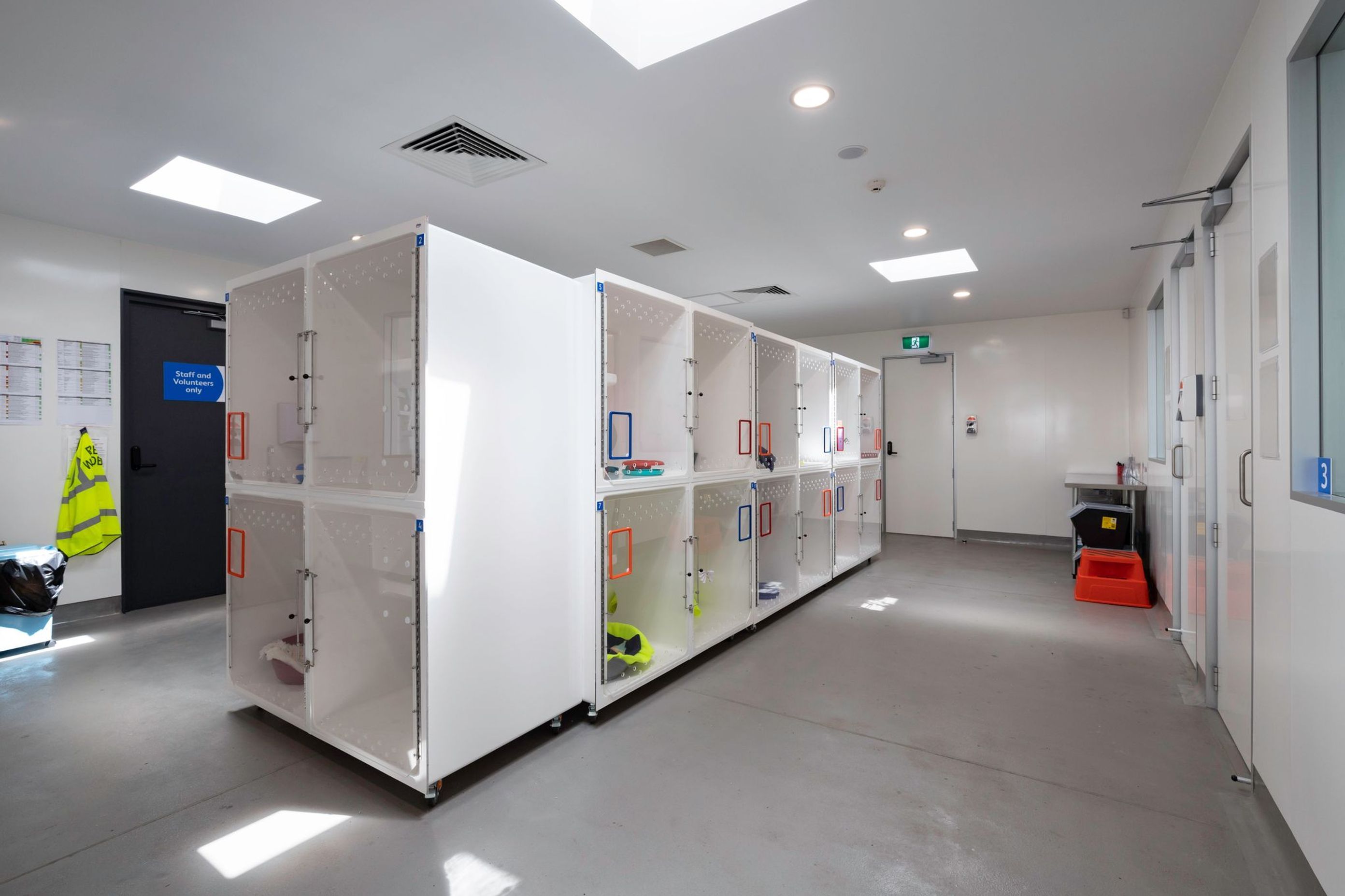 SPCA Hobsonville