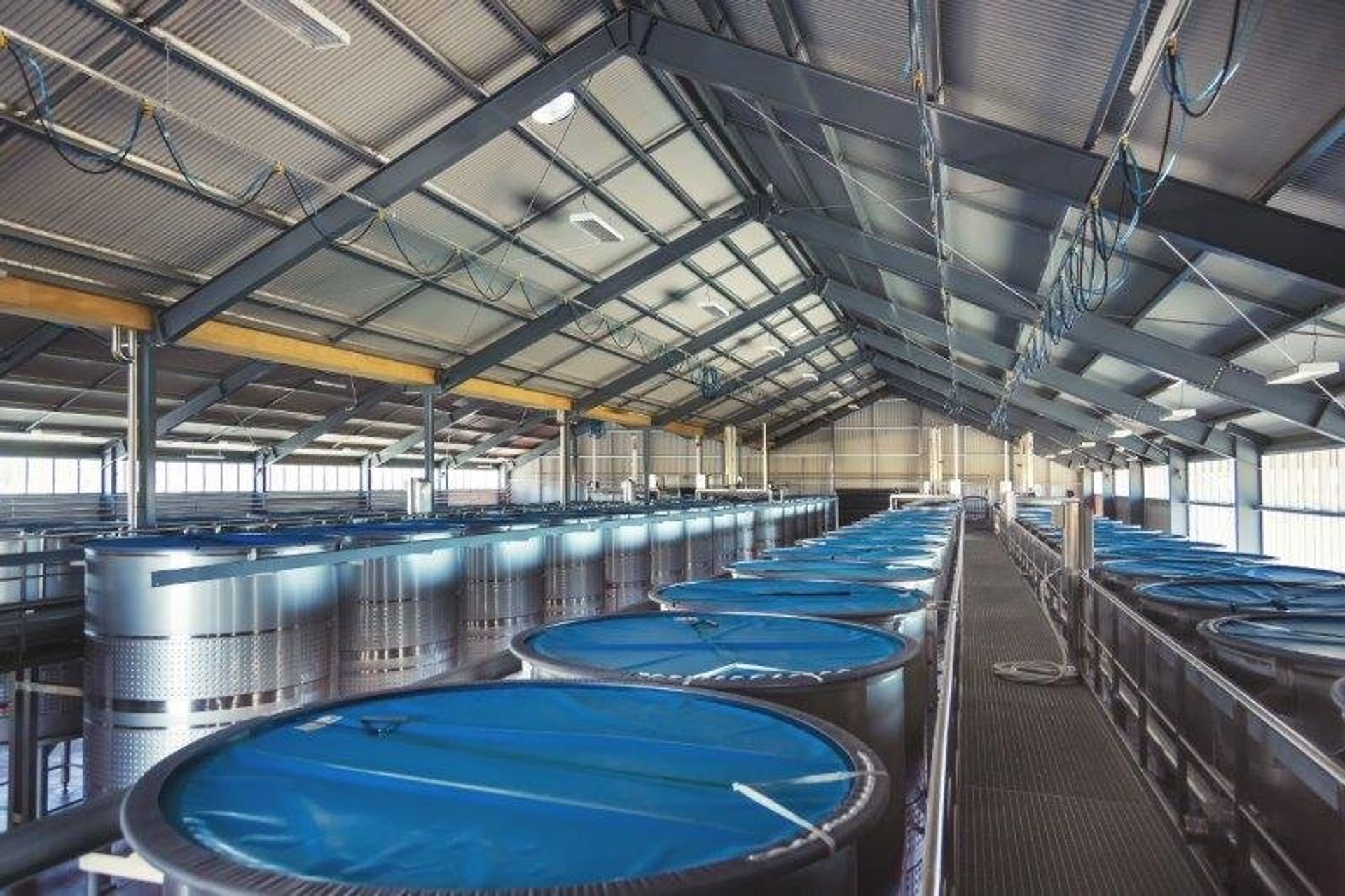 Cloudy Bay: Pinot Noir Cellar