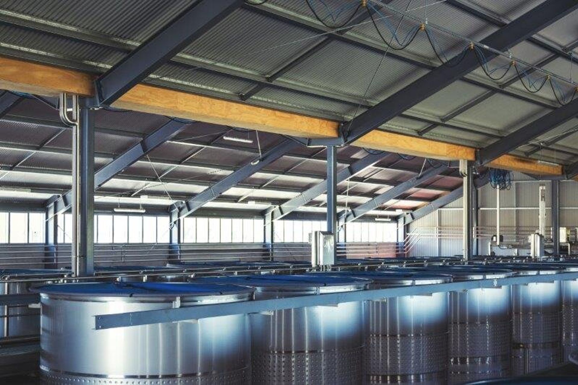 Cloudy Bay: Pinot Noir Cellar