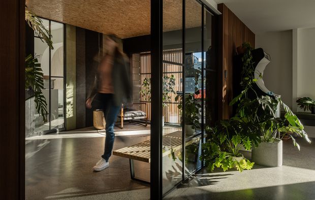 Contemporary interior entry or transitional living space with extensive floor-to-ceiling glazing, dark timber framing and vertical screening, polished concrete flooring, and abundant indoor plants. A blurred person walks through the space, with a timber slatted bench and lounge area visible beyond the glass partition. Warm natural light creates strong shadows and a refined indoor-outdoor connection.