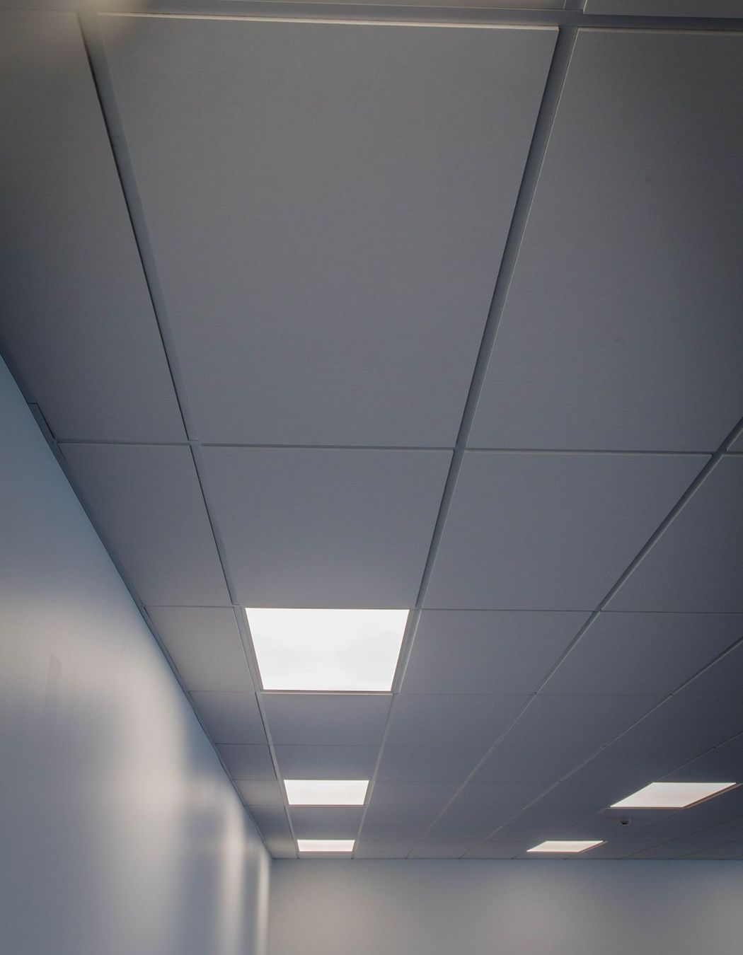 Hobsonville Commercial New Build