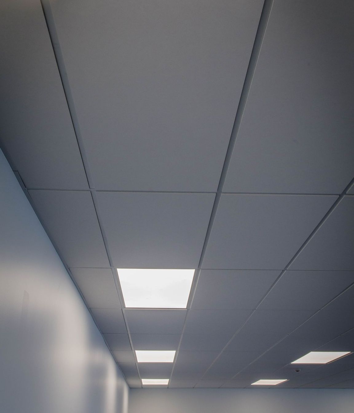 Hobsonville Commercial New Build
