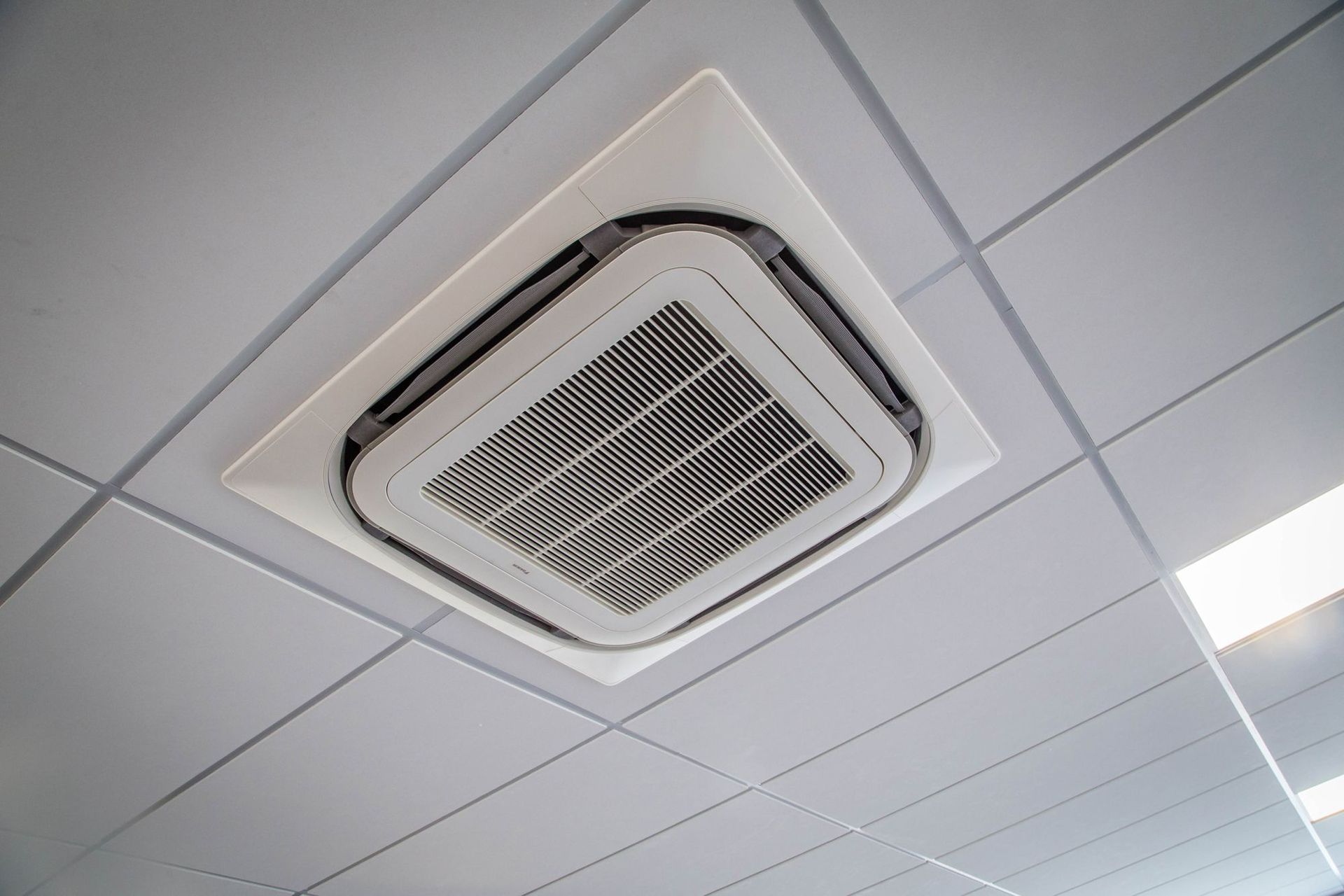 Hobsonville Commercial New Build