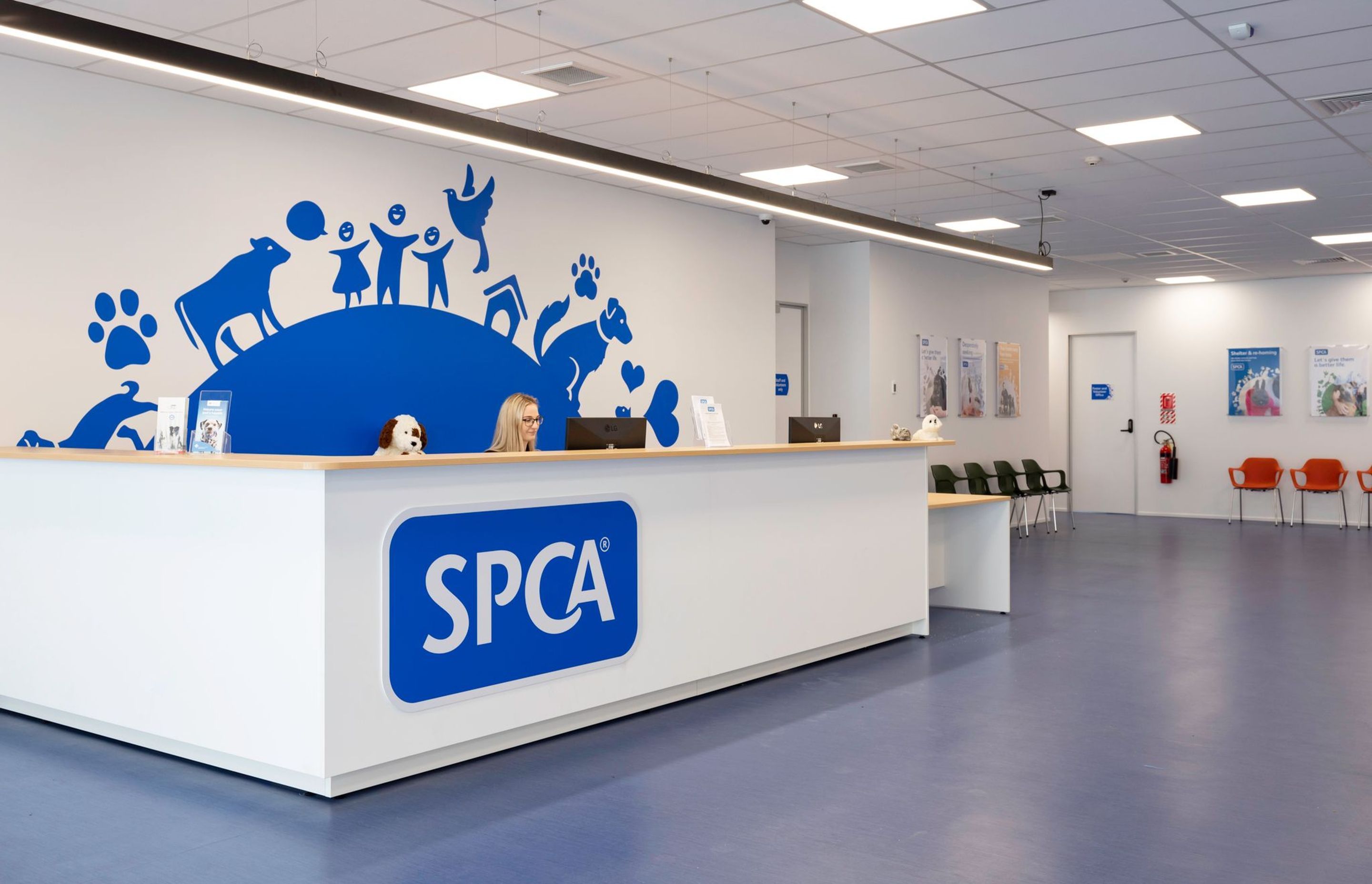 SPCA Hobsonville