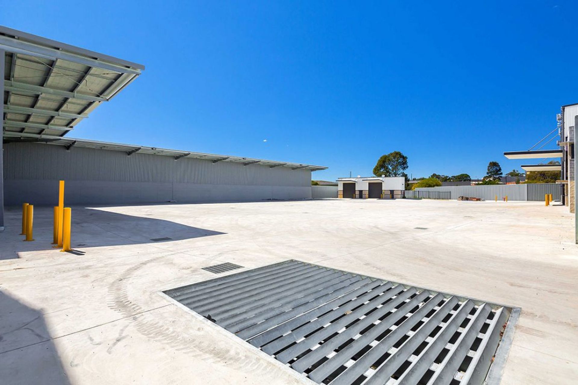 Photographer: Sue Murray