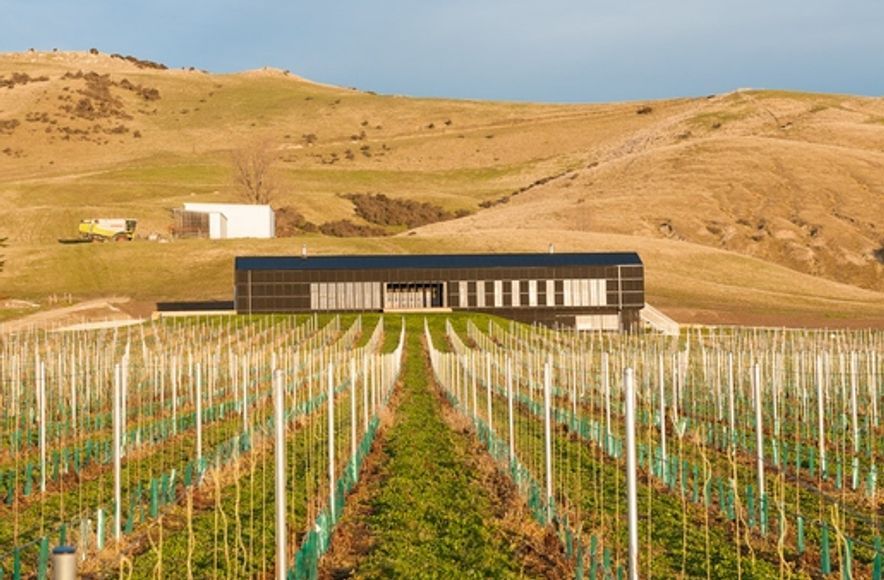 Black Estate Winery