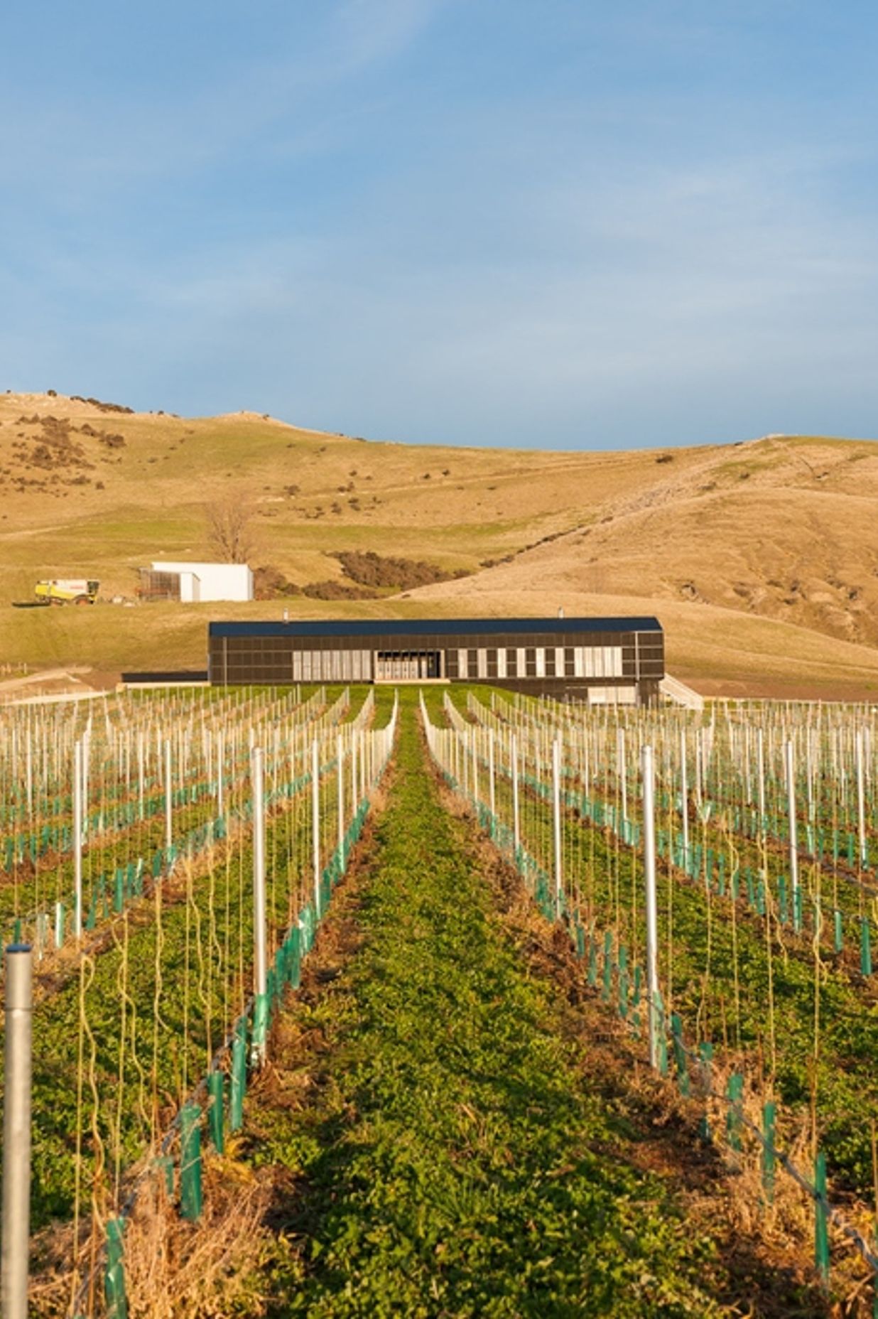Black Estate Winery