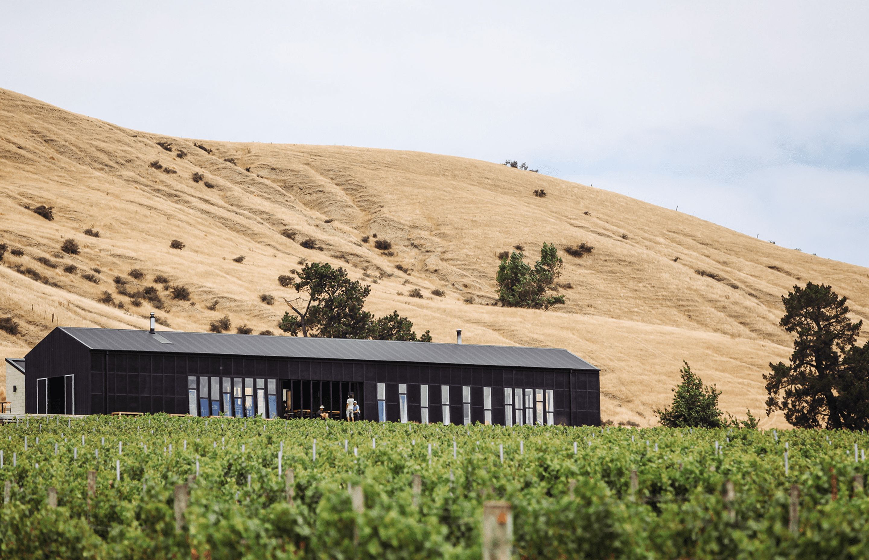 Black Estate Winery