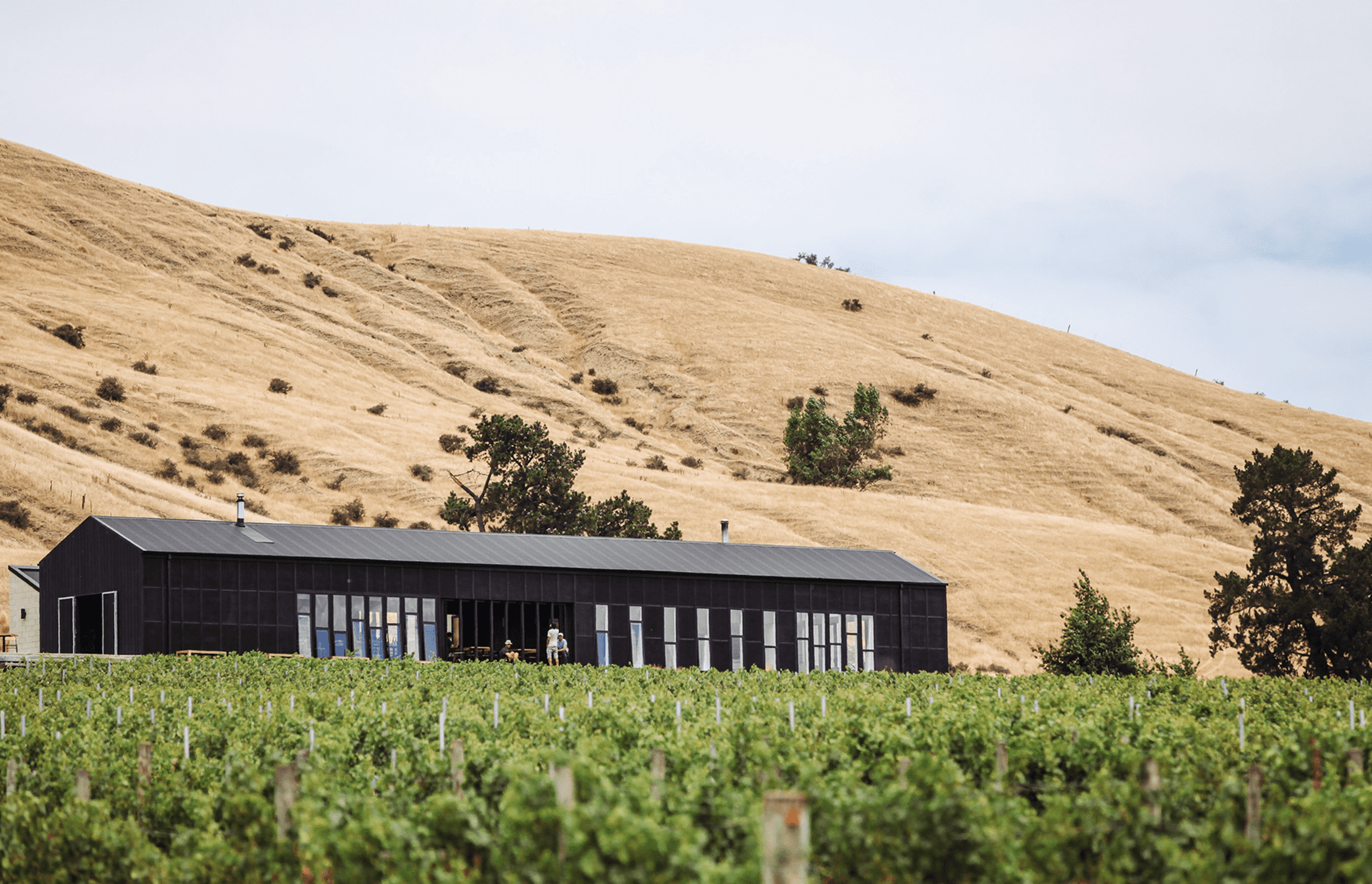 Black Estate Winery