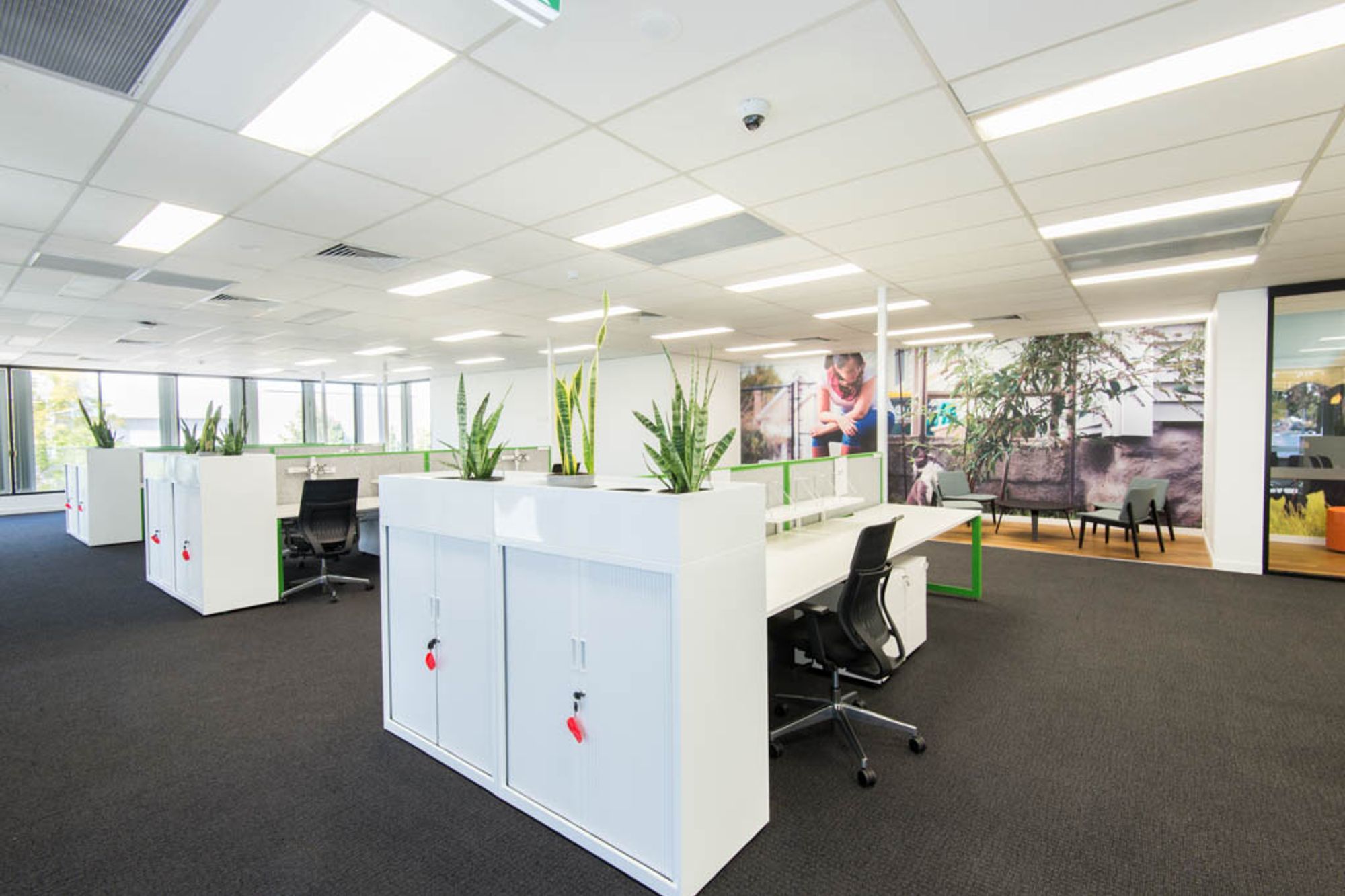 IDEXX LABORATORIES