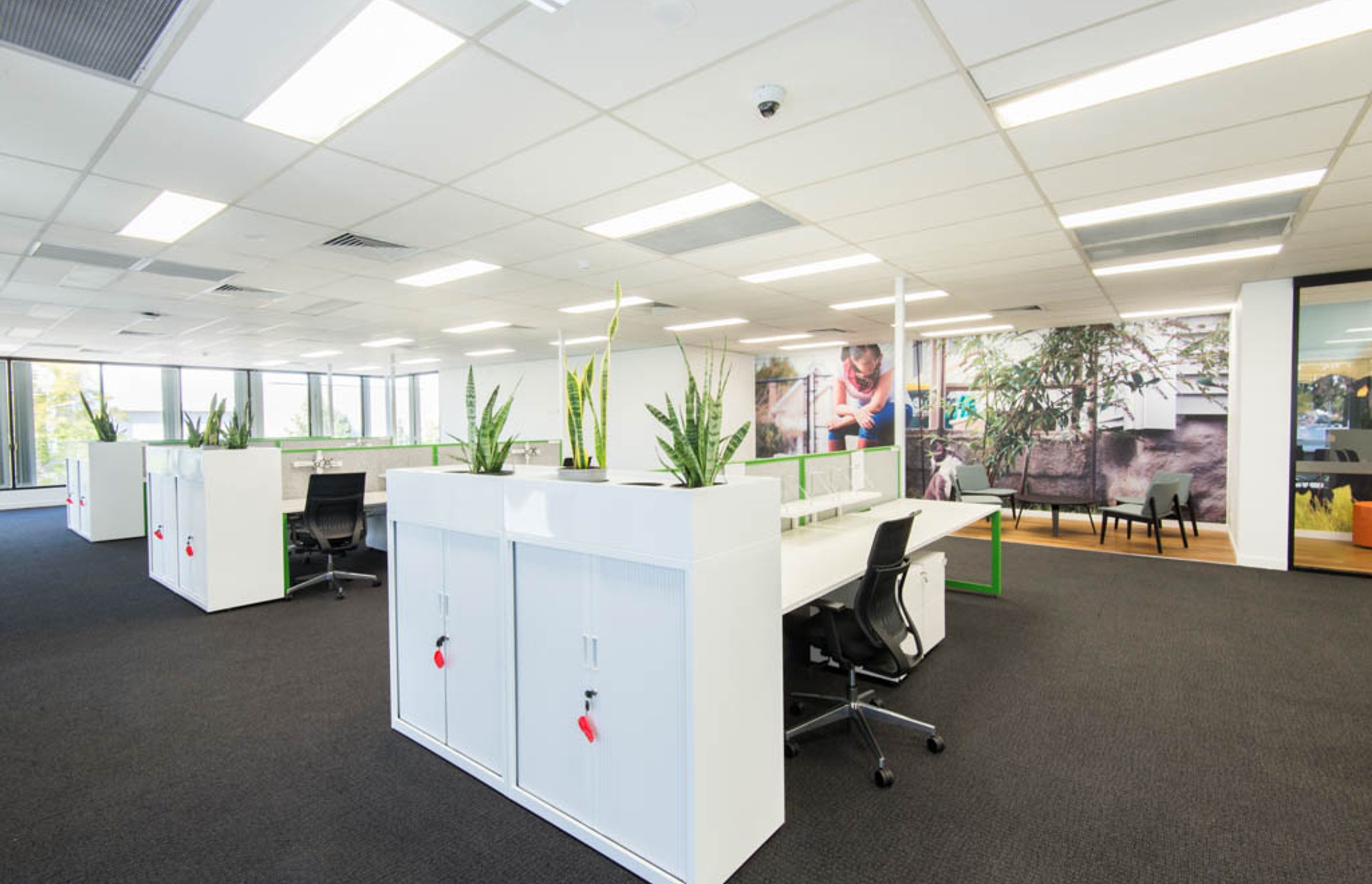 IDEXX LABORATORIES